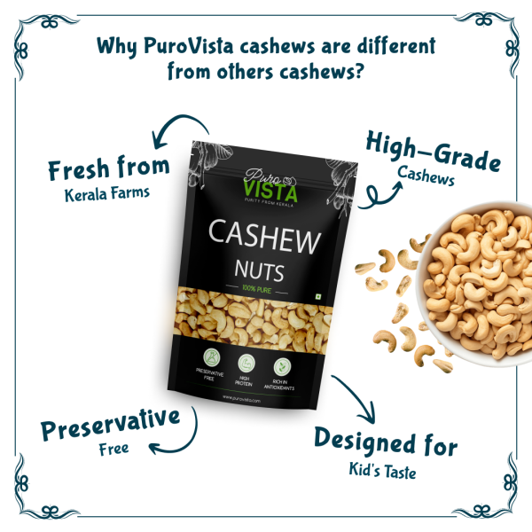 PuroVista Classic Salted Cashews