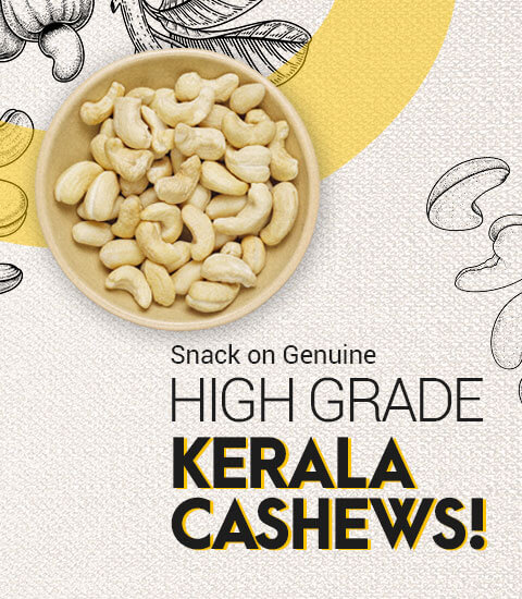 High Grade Kerala Cashew
